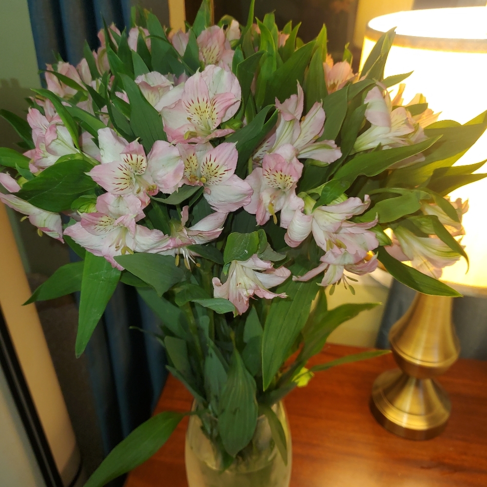 Meet your Posher, Gersis